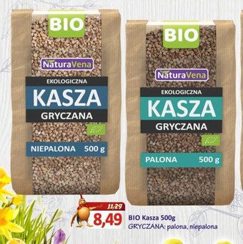 Hale Banacha BIO kasza 500g oferta