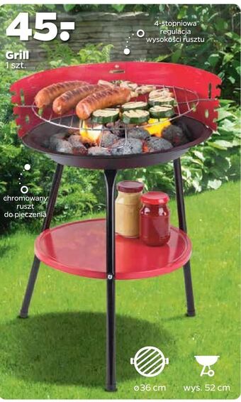 Netto Grill oferta