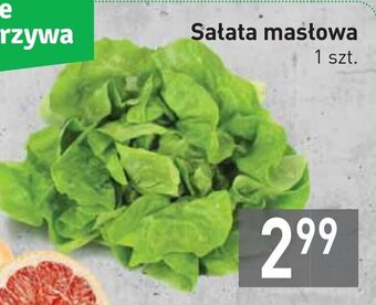 Stokrotka Sałata masłowa 1 szt. oferta