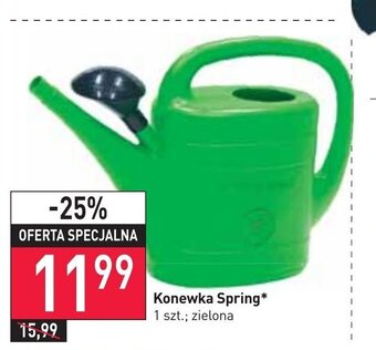 Stokrotka Konewka Spring oferta