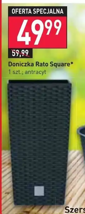 Stokrotka Doniczka Rato Square oferta