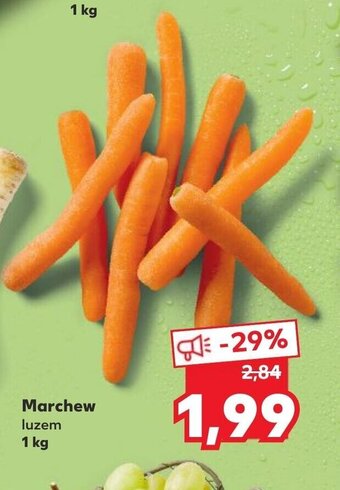Kaufland Marchew 1kg oferta