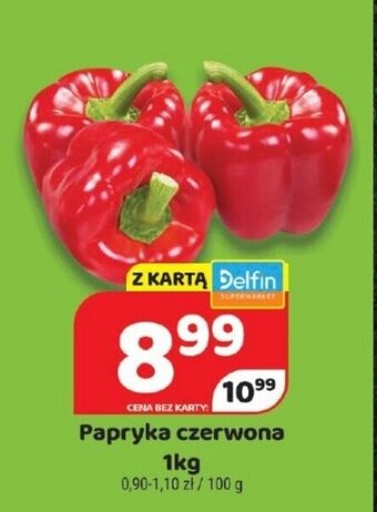 Delfin Papryka czerwona 1kg oferta