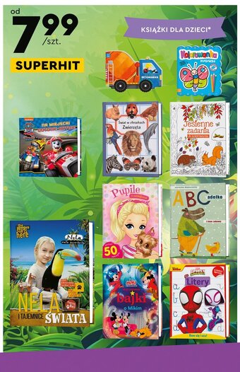 Biedronka Disney miki i przyjaciele - moje pierwsze bajki o mikim oferta