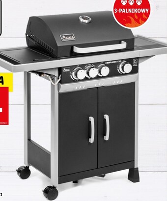 Lidl Grill oferta