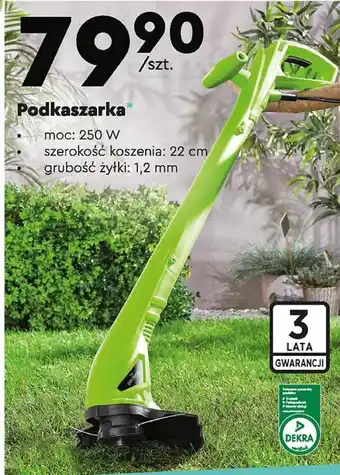 Biedronka Podkaszarka oferta