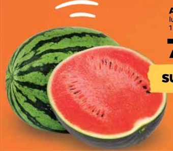 Netto Arbuz oferta