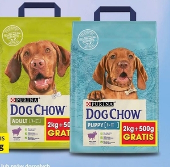 Kakadu Karma dla psa Dog Chow oferta