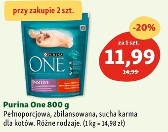 Maxi Zoo Karma dla kota Purina One oferta