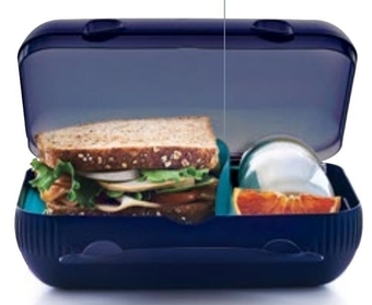 Tupperware Pojemnik śniadaniowy Tupperware oferta