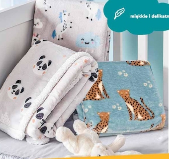 Biedronka Kocyk oferta