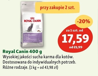 Maxi Zoo Karma dla kota Royal Canin oferta