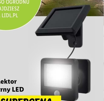 Lidl Reflektor solarny led oferta