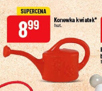 Polomarket Konewka kwiatek oferta
