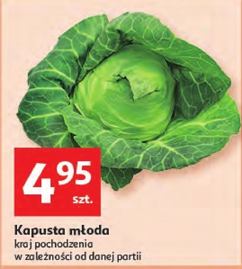 Auchan Kapusta oferta