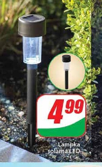 Dino Lampa solarna led oferta