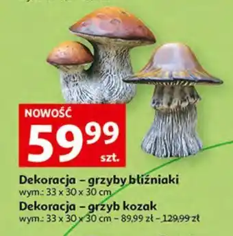 Auchan Grzyb kozak 30 x 30 x 30 cm oferta