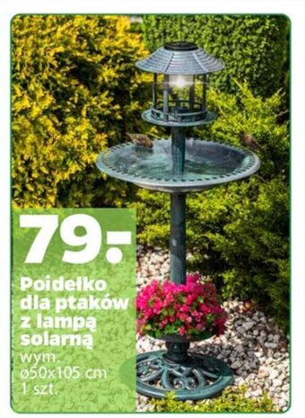 Poidełko dla ptaków z lampą solarną