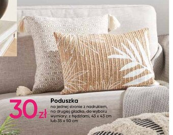 Pepco Poduszka 35 x 50 cm oferta