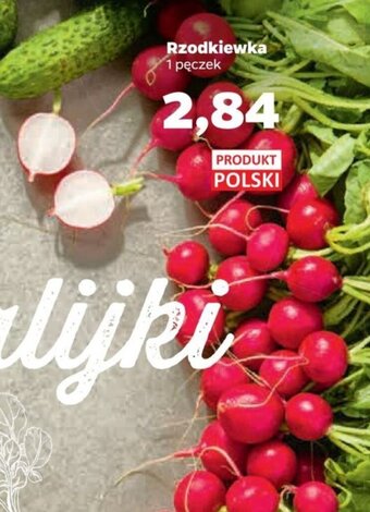 Netto Rzodkiewka 1 pęczek oferta