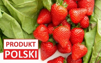 Lidl Truskawki oferta