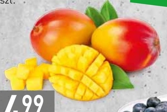 Stokrotka Mango oferta