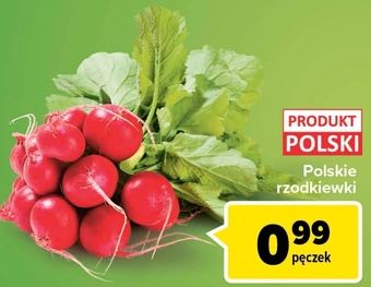 Carrefour Rzodkiewki oferta