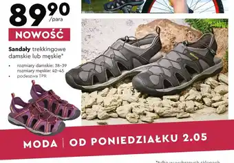 Biedronka Sandały trekkingowe damskie lub męskie oferta