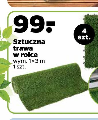 Netto Sztuczna trawa w rolce oferta