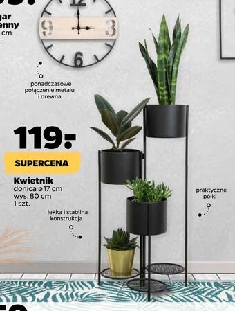 Netto Kwietnik oferta