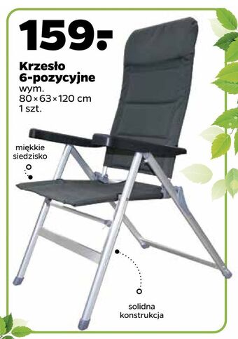 Netto Krzesło 6-pozycyjne oferta