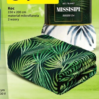 Intermarche Koc oferta