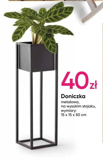 Pepco Doniczka oferta