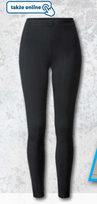Lidl Legginsy damskie oferta