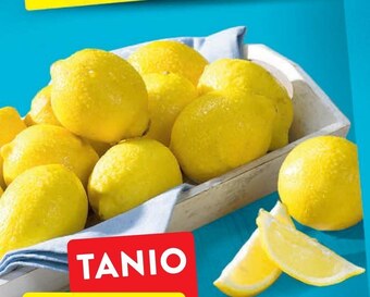 Intermarche Cytryna oferta