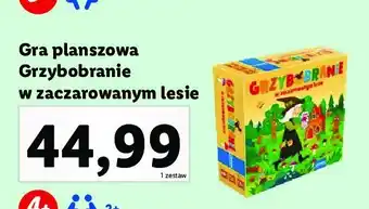 Lidl Gra grzybobranie w zaczarowanym lesie oferta