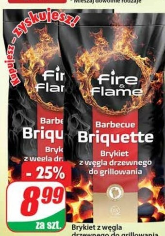 Dino Brykiet Fire & Flame oferta