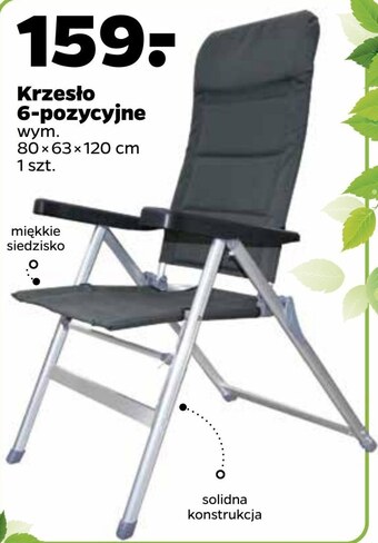 Netto Krzesło oferta