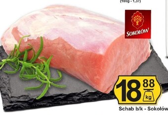 Hitpol Schab Sokołów oferta