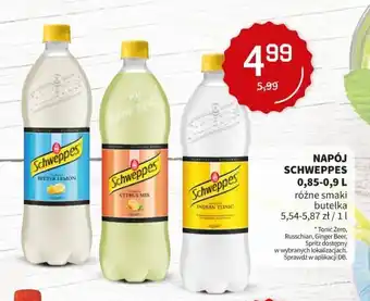 Duży Ben Napój Schweppes 0,85-0,9l oferta