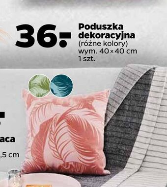 Netto Poduszka dekoracyjna oferta
