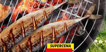Lidl Makrela oferta