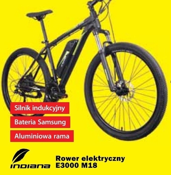 Media Expert Rower elektryczny Indiana oferta