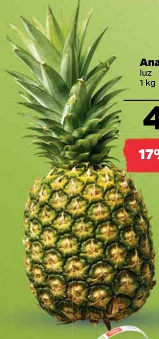 Netto Ananas oferta