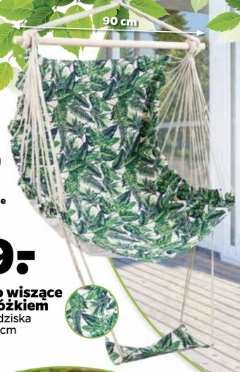 Netto Fotel podwieszany oferta