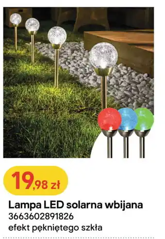 Castorama Lampa LED solarna wbijana oferta