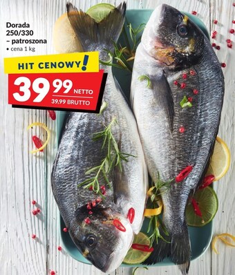 Makro Dorada oferta