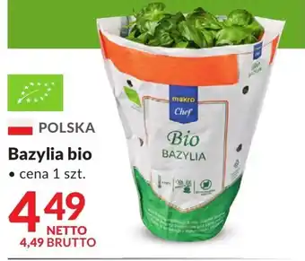 Makro Bazylia oferta