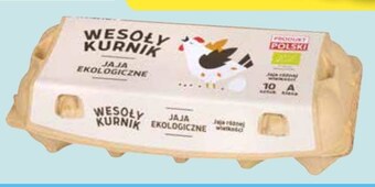 ALDI Jaja Wesoły Kurnik oferta