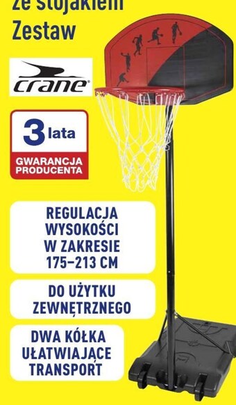 ALDI Zestaw do koszykówki Crane oferta